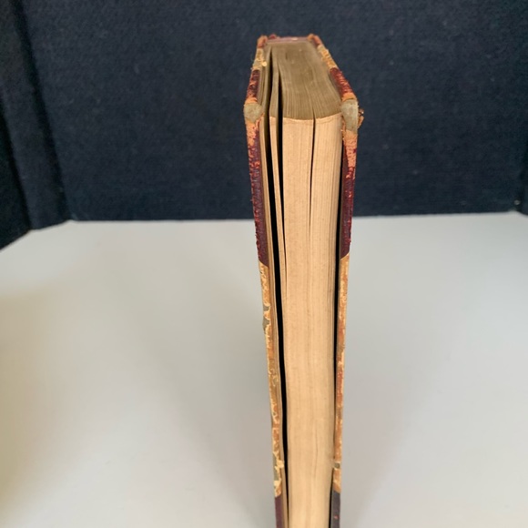 Stoddard's Lectures Vol. 10: California, Grand Canyon, Yellowstone 1909. - Picture 2 of 10